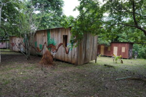 South America nature