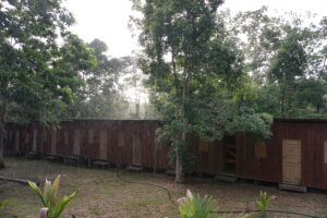 South America culture