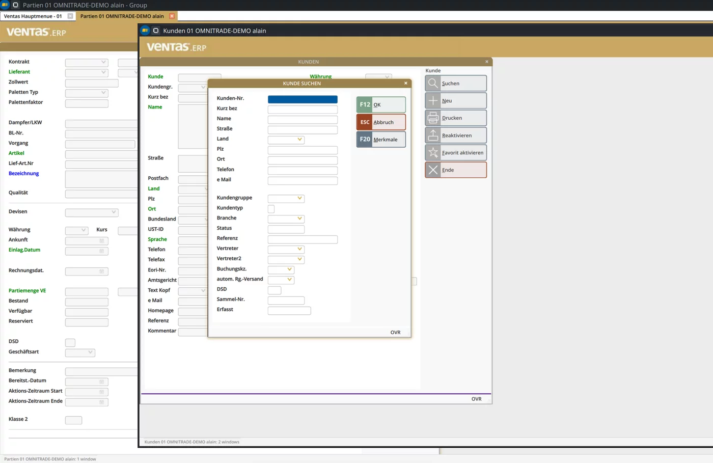 Several related forms grouped in one window container
